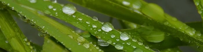 Intestazione articolo di test